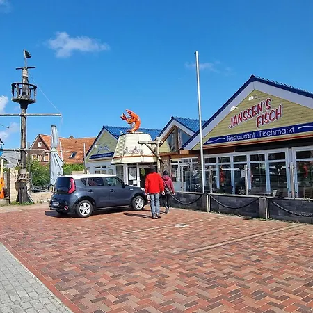 Carolinenperle Harleblick * 卡罗利嫩西尔