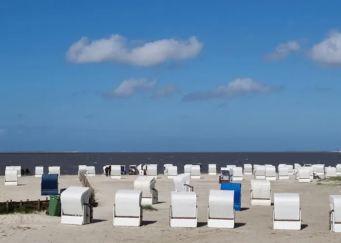 Carolinenperle Harleblick 公寓