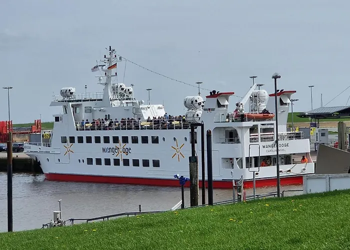 Carolinenperle Harleblick 卡罗利嫩西尔